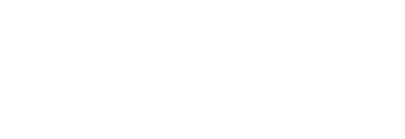 Elastic Search